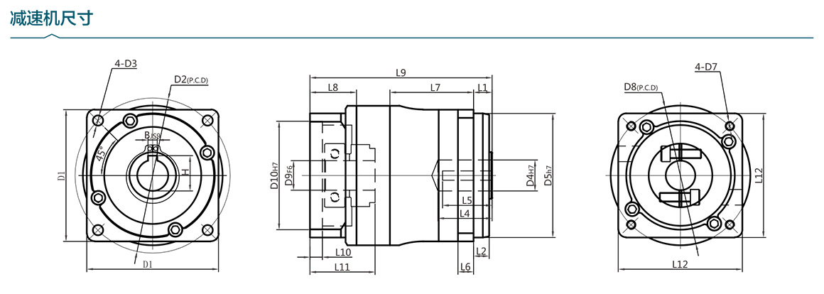 DLK A_01.jpg