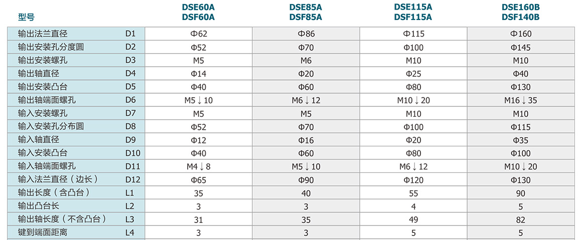 DSE A_02.jpg